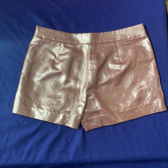 Iredescent Metalic Linen/ Cotton Shorts - Picture 3 of 8